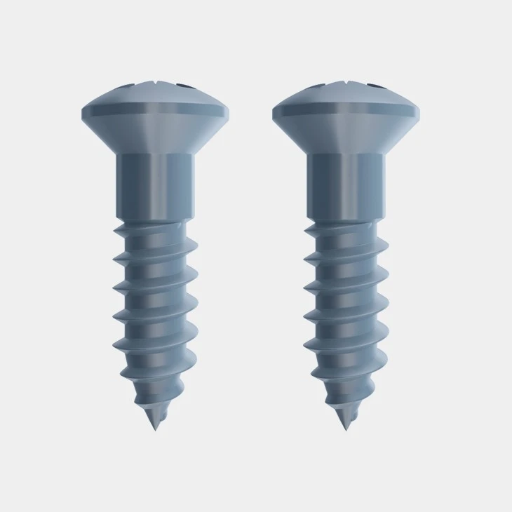 Raised Head Chrome Screws